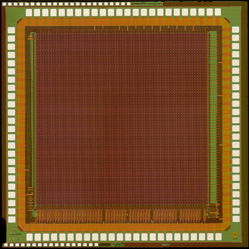 decalChip.jpg