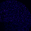 logo-kow.gif