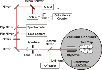 Experimental Setup