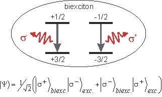 QD Entagled Photon Generation