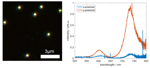 Fig.1.2: Dark field image (left) and spectra (right) of NPoM antennas