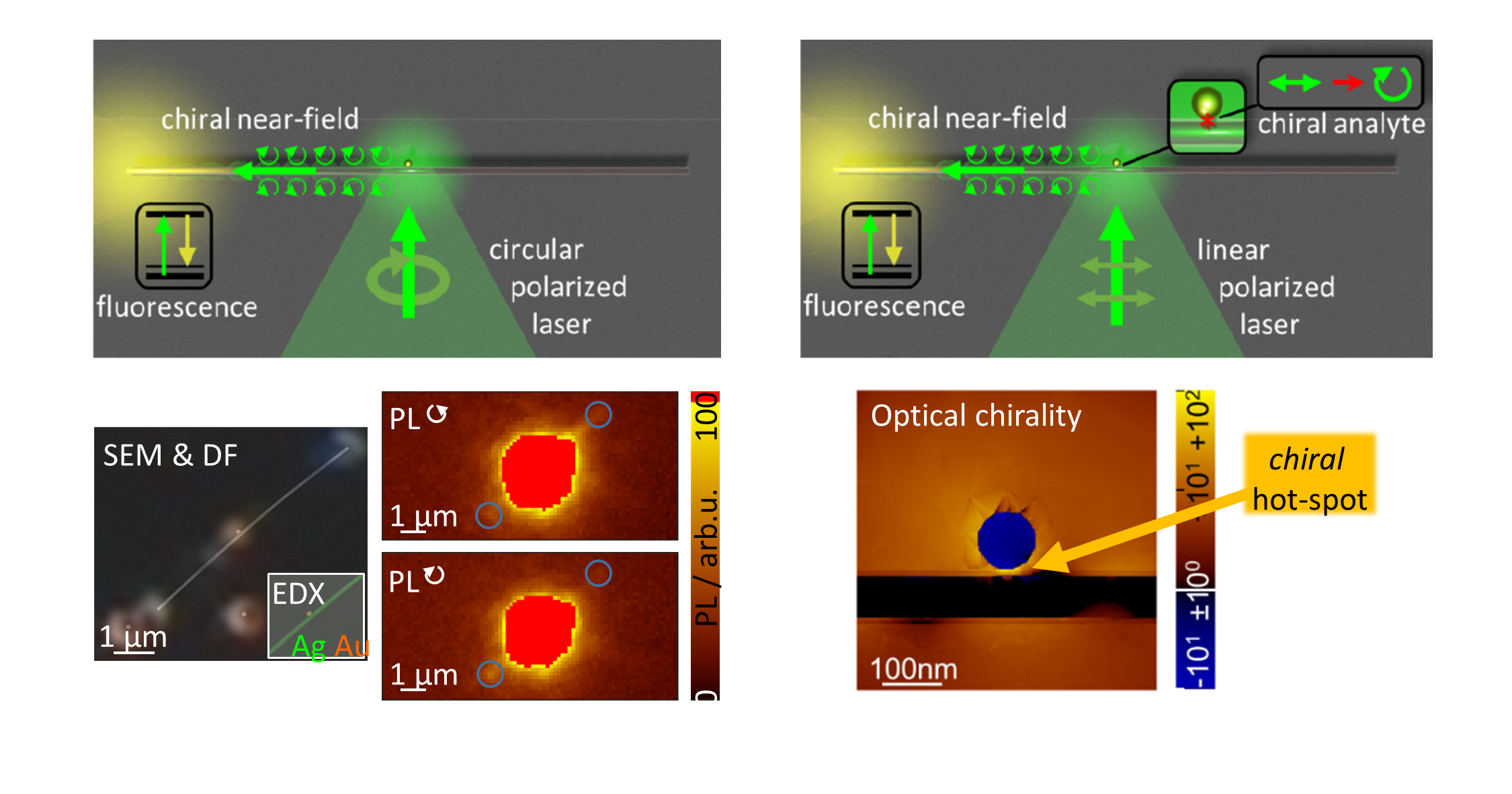 Fig.2.2: Local chirality sensor from self-assembly a single nanowire and a nanosphere