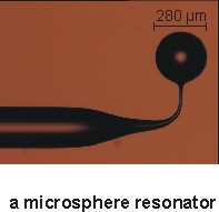 Microsphere