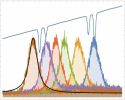 Optical Quantum Information