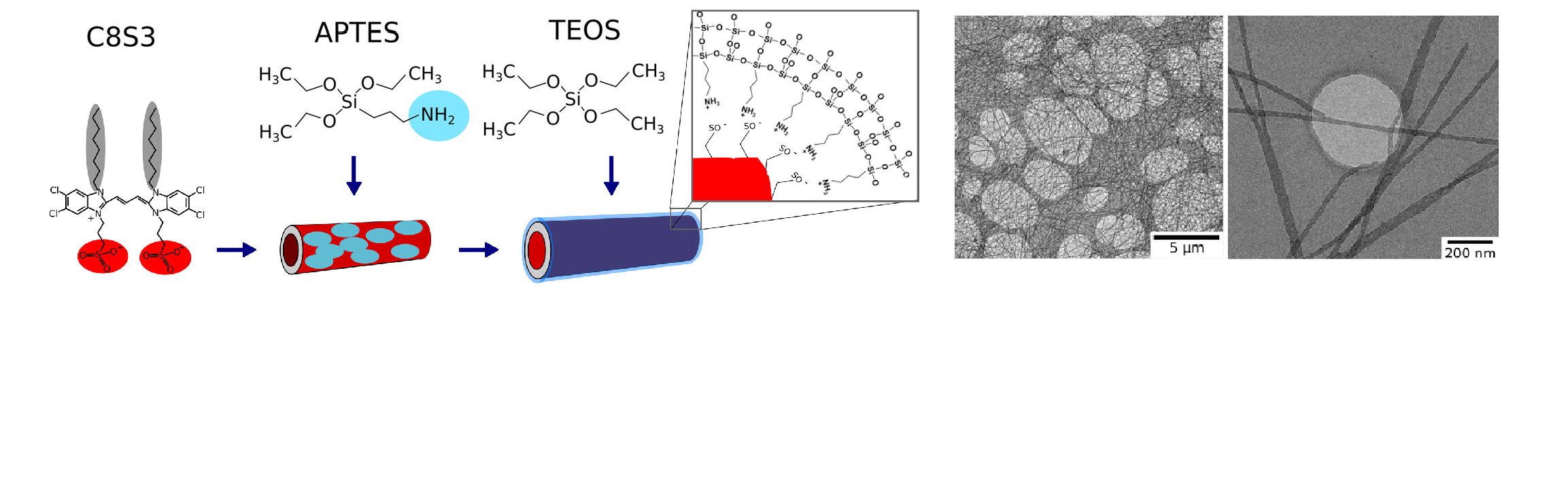 j_aggregates_stabilized_herman_2020