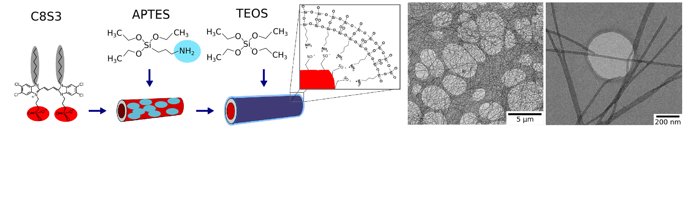 j_aggregates_stabilized_herman_2020_2