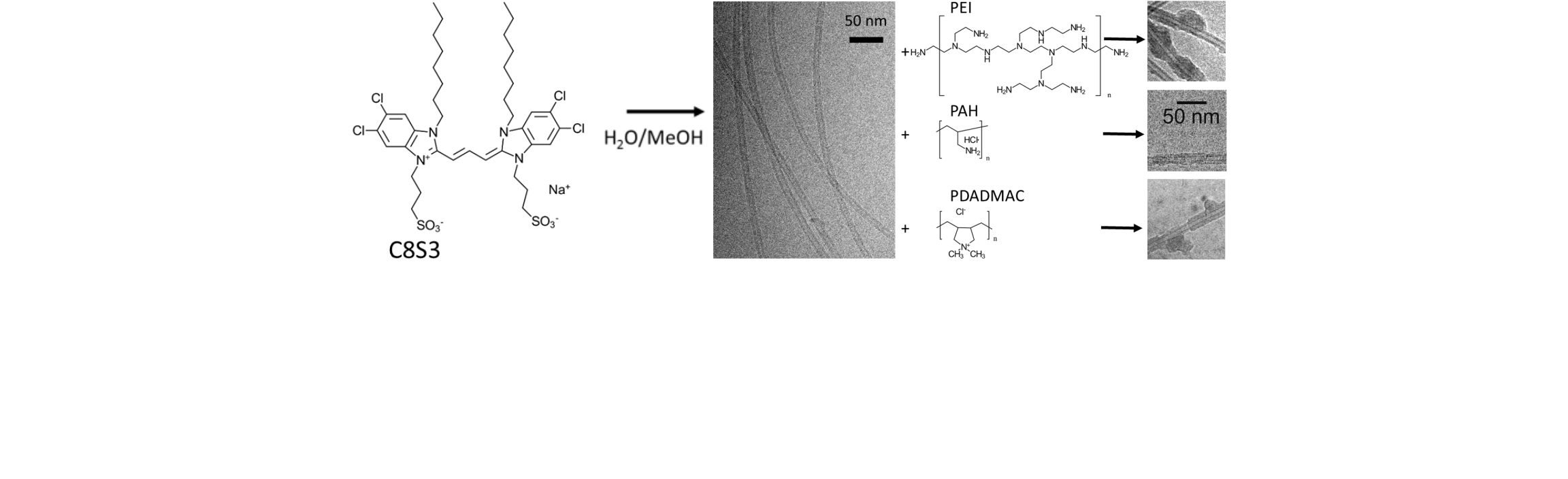 Adsorption_of_polyelectrolytes_onto_tubular_J‑aggregates_of_a_cyanine_dye.png