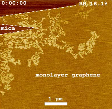 Graphene-mica-wetting.PNG