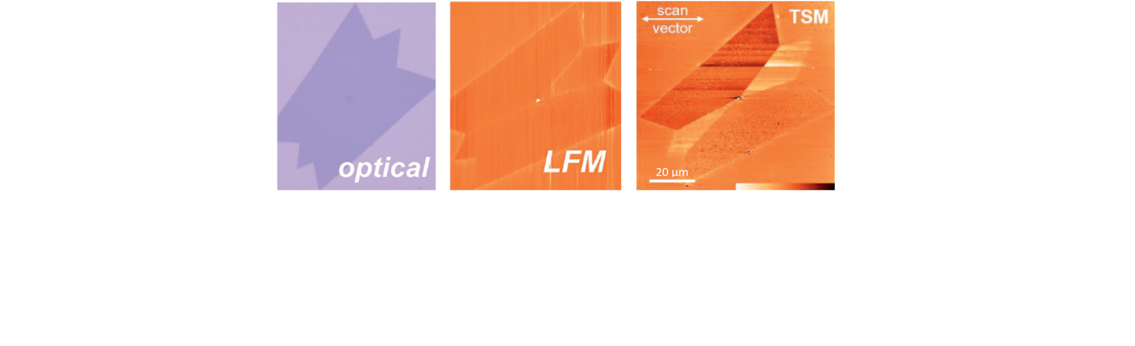 Microstructure_and_elastic_constants_TMDC_monolayers.png