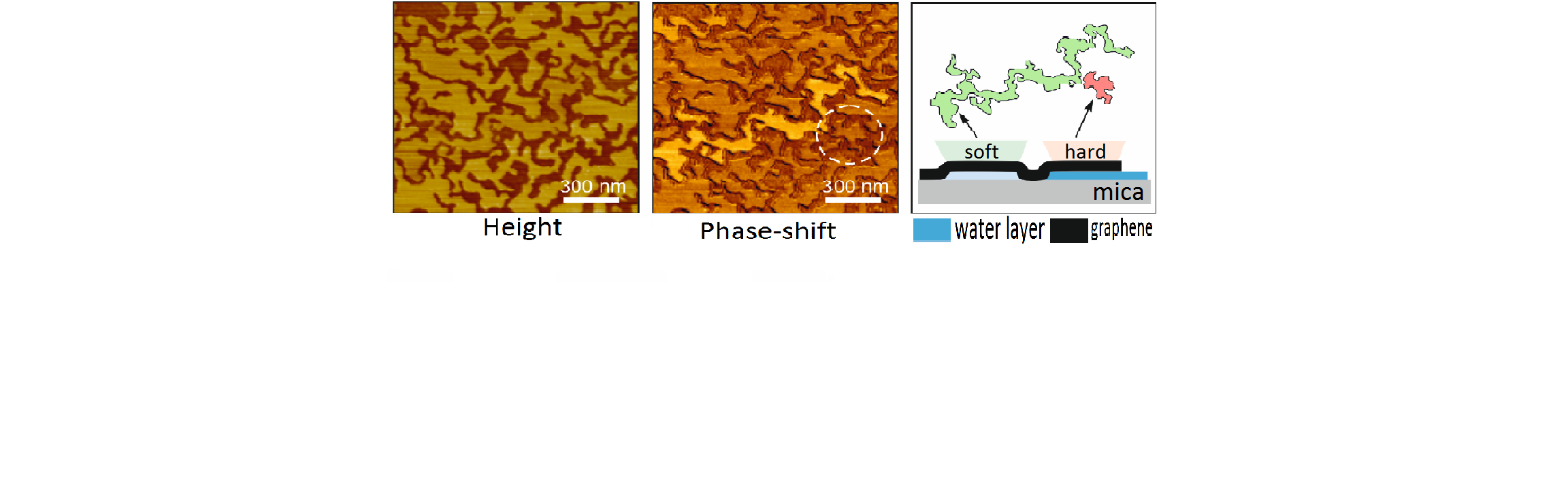 Non-monotonous_wetting_of_graphene-mica_and_MoS2-mica_interfaces_with_a_molecular_water_layer_unterschrift_bearbeitet_5.png