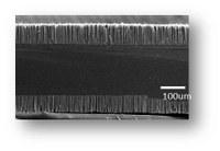 Front_3.jpg