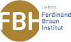 Ferdinand Braun Institut