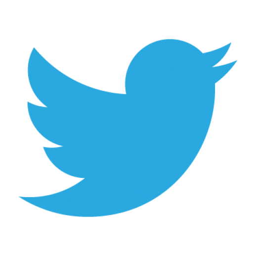 twitter-logo-vector-png-clipart-1.png — Physics of low-dimensional systems