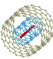 confined_carbyne_atoms.jpg