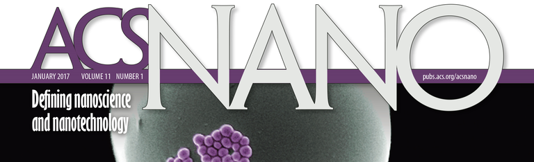 ACS_nano_cutted.png