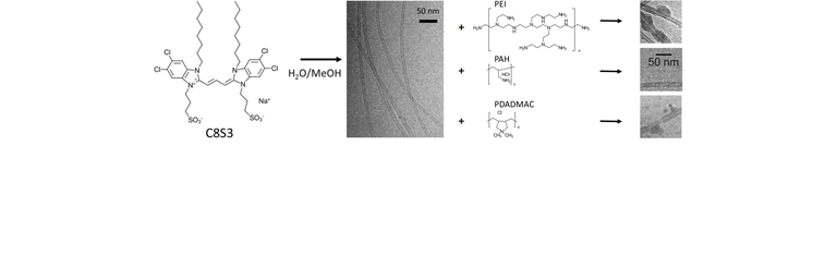 Adsorption_of_polyelectrolytes_onto_tubular_Jaggregates_of_a_cyanine_dye_newest.png