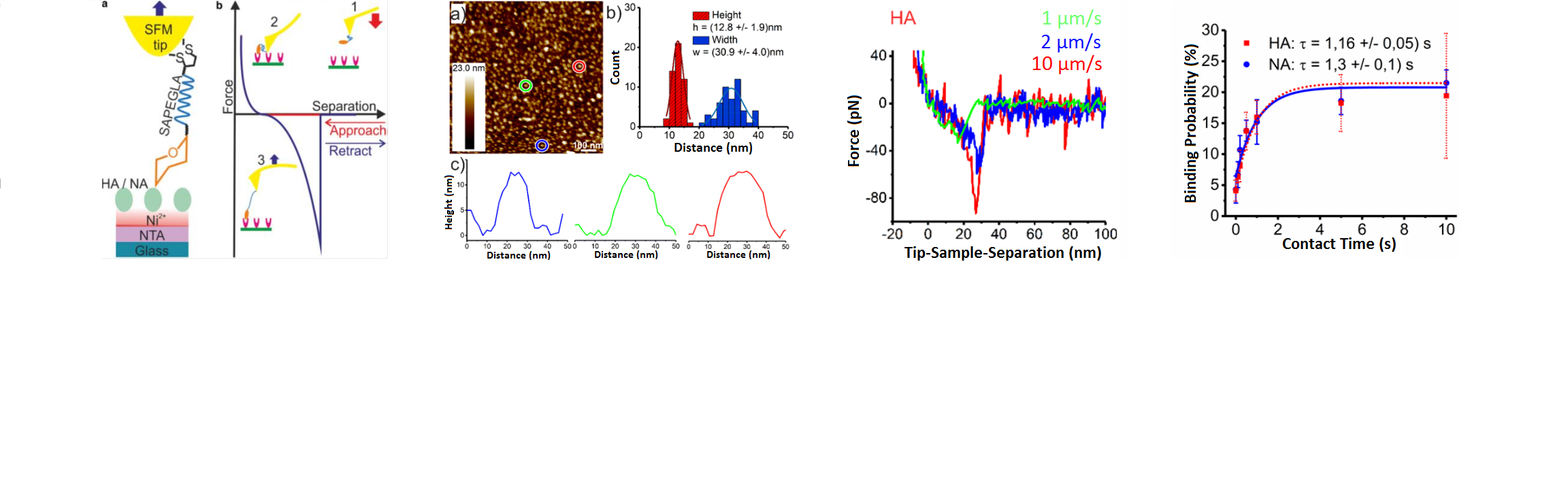 Dynamic_bounding_of_influenza_to_sialic_acid_5.png