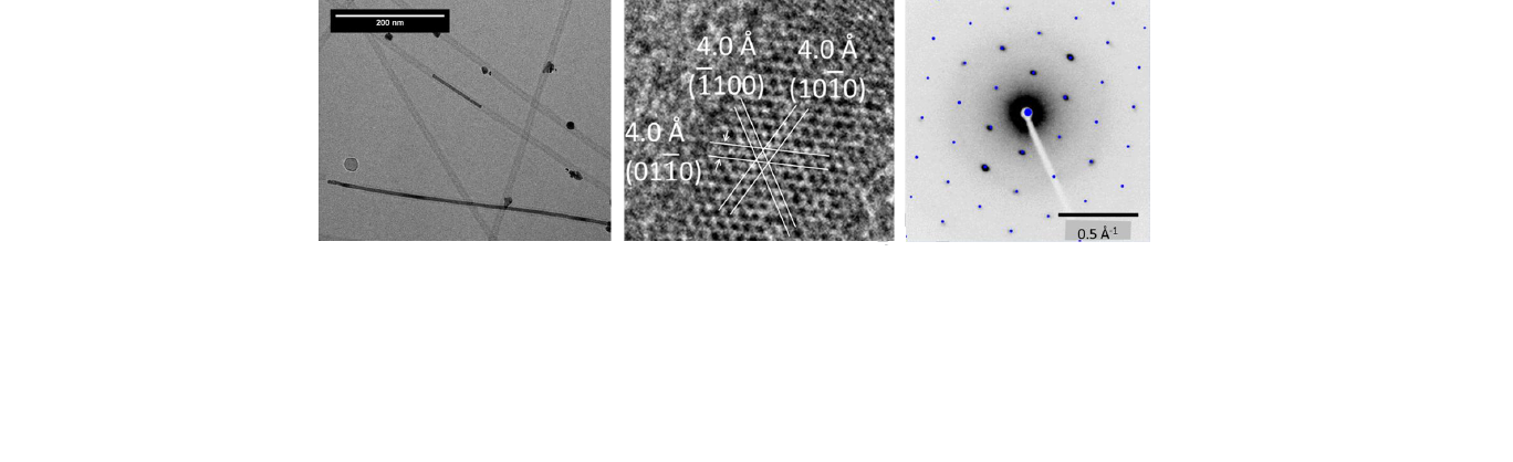 j_colloid_interface_sci_silver_iodide_nanowires.png