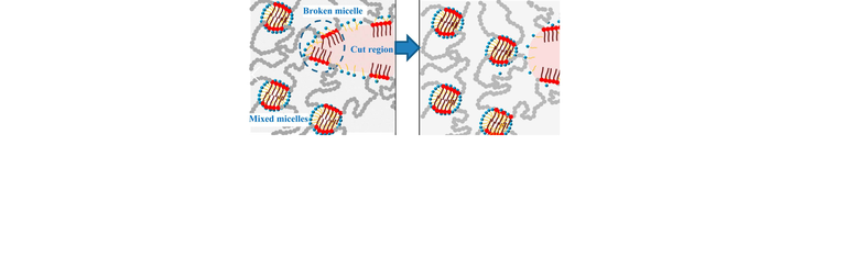 Macromolecules_nanostructure_self_heal_micellar_hydrogels.png