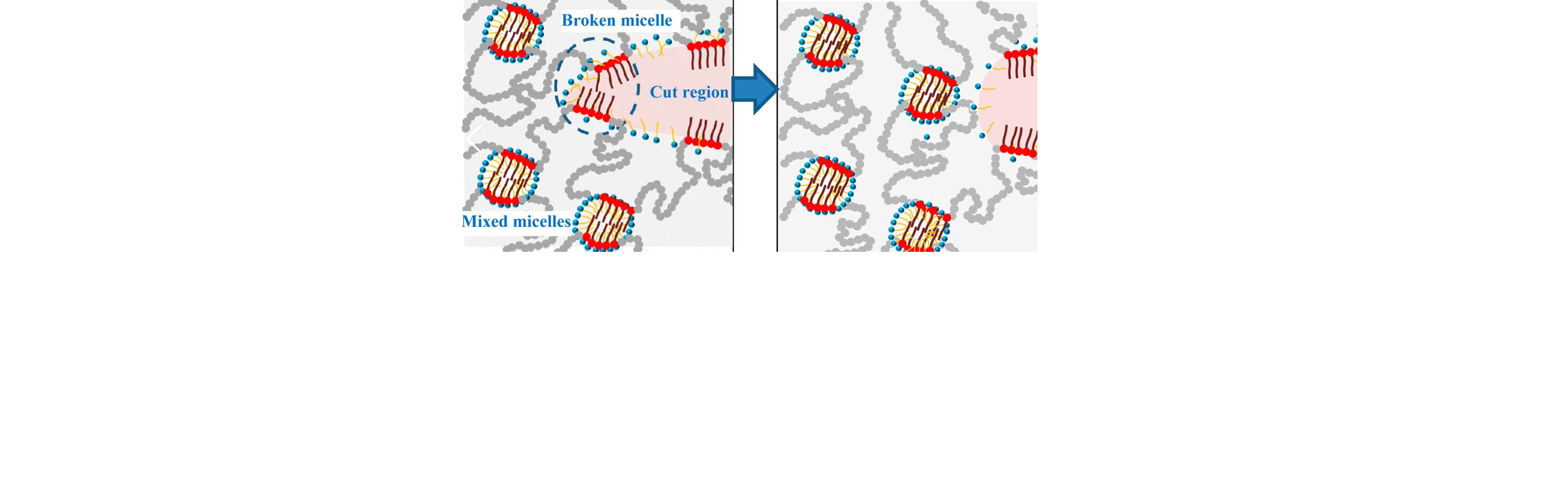 Macromolecules_nanostructure_self_heal_micellar_hydrogels.png