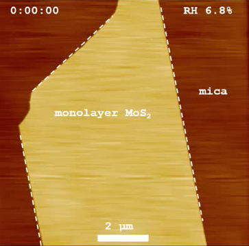 MoS2-mica-wetting.PNG