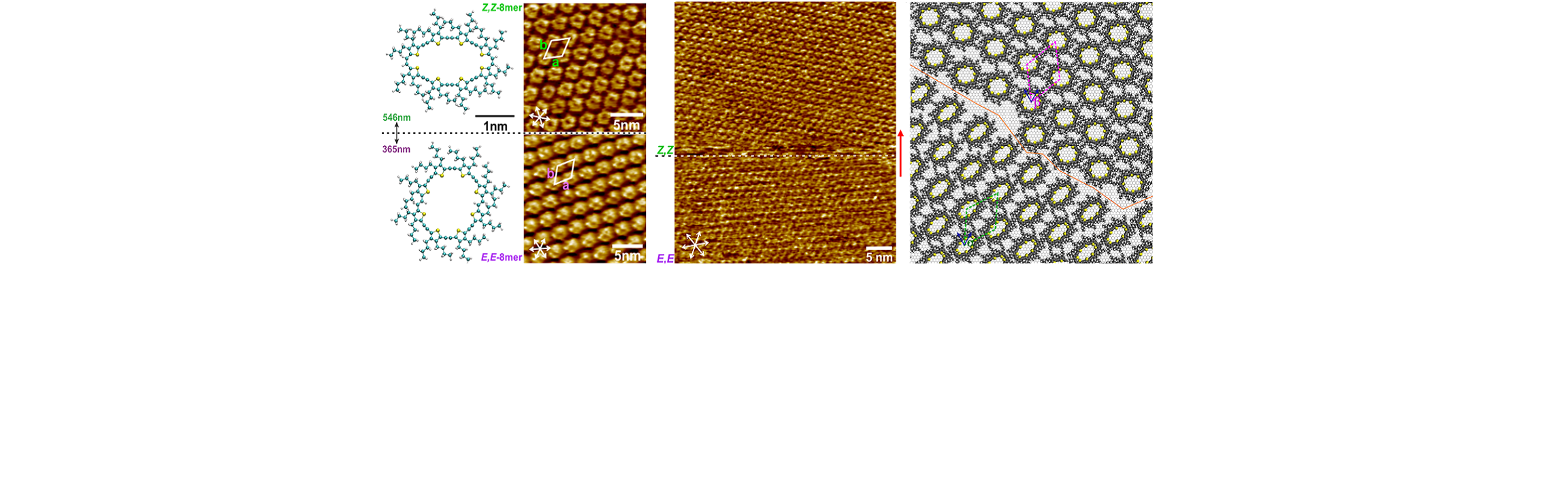 Reversible_isomerization_of_monolayers_of_pi-expanded_oligothiophene_macrocycles_2.png