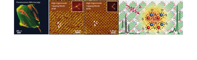 Slider-Reich-MePTCDI-2(1).png