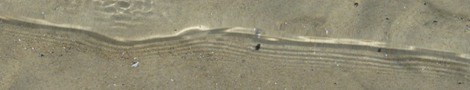 waterWave.jpg
