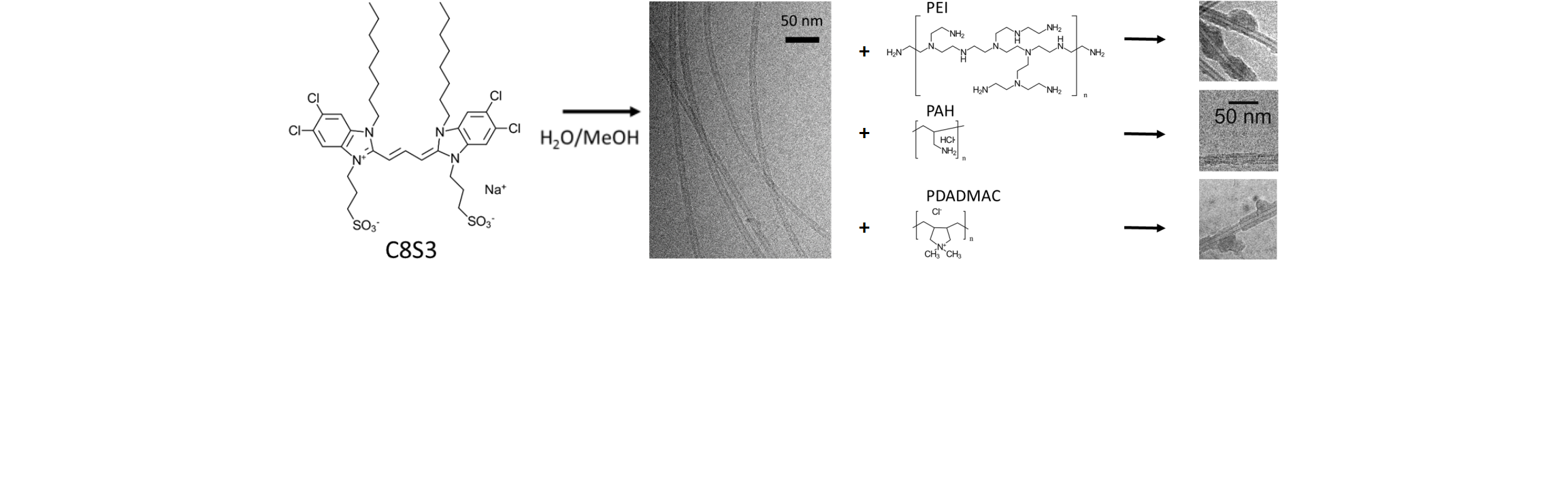 Adsorption_of_polyelectrolytes_onto_tubular_Jaggregates_of_a_cyanine_dye_newest.png